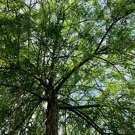 Il Giardino Dei Filosofi